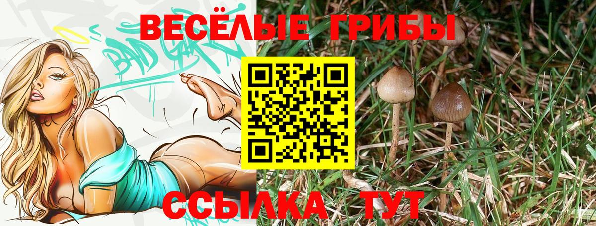 Псилоцибиновые грибы Psilocybe  Вход с VPN  даркнет сайт  Ливны 
